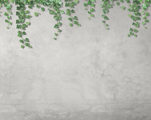 Art- film- image (7)